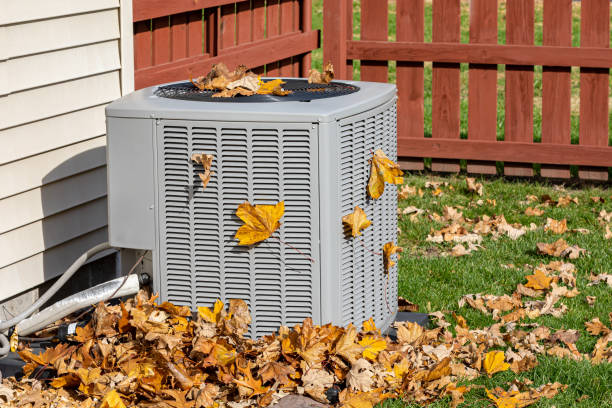 Best HVAC air duct cleaning  in Maple Valley, WA